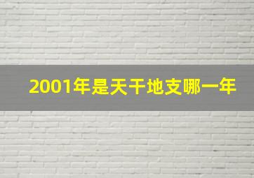 2001年是天干地支哪一年