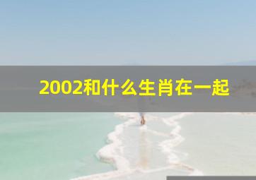 2002和什么生肖在一起