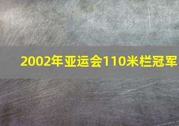 2002年亚运会110米栏冠军