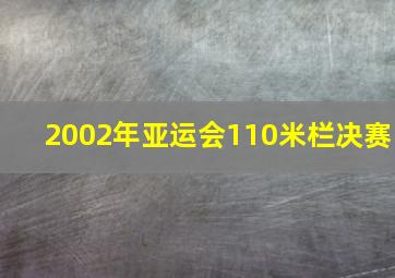 2002年亚运会110米栏决赛