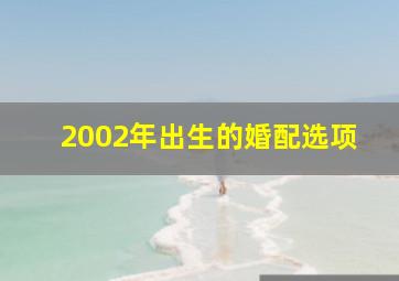 2002年出生的婚配选项