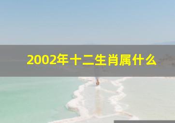 2002年十二生肖属什么