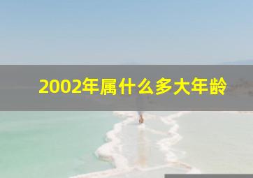 2002年属什么多大年龄