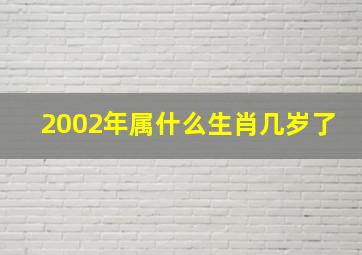 2002年属什么生肖几岁了