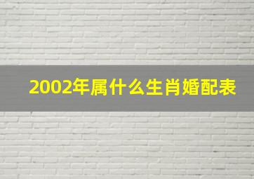 2002年属什么生肖婚配表