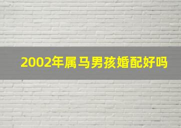 2002年属马男孩婚配好吗