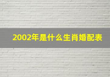 2002年是什么生肖婚配表