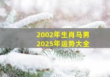 2002年生肖马男2025年运势大全