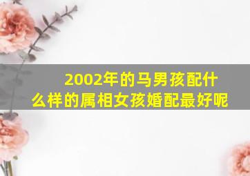 2002年的马男孩配什么样的属相女孩婚配最好呢