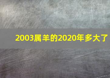 2003属羊的2020年多大了