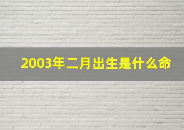 2003年二月出生是什么命