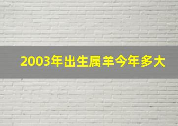 2003年出生属羊今年多大