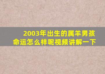 2003年出生的属羊男孩命运怎么样呢视频讲解一下