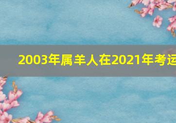 2003年属羊人在2021年考运