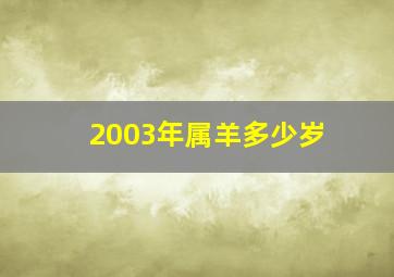 2003年属羊多少岁