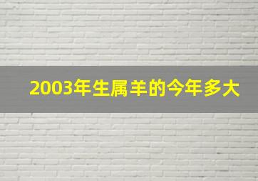 2003年生属羊的今年多大