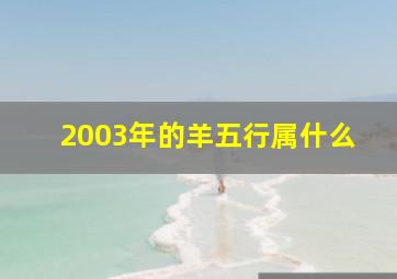 2003年的羊五行属什么