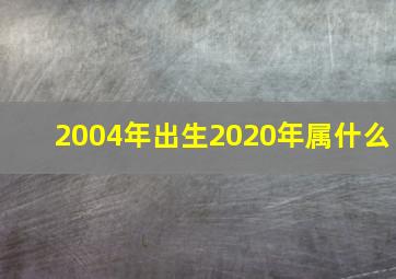 2004年出生2020年属什么