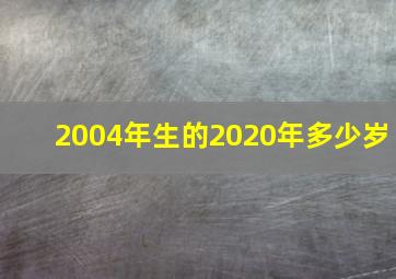 2004年生的2020年多少岁