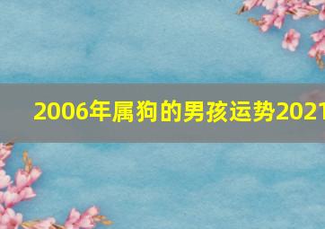 2006年属狗的男孩运势2021