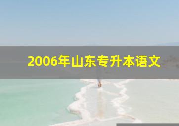 2006年山东专升本语文