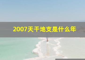 2007天干地支是什么年