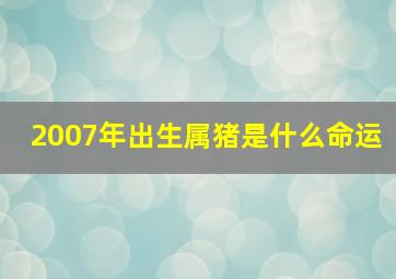 2007年出生属猪是什么命运