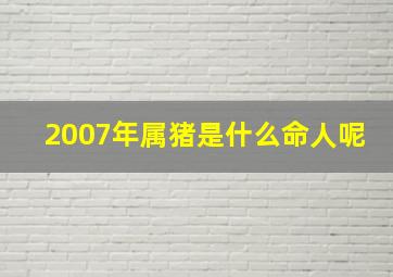 2007年属猪是什么命人呢