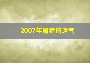 2007年属猪的运气