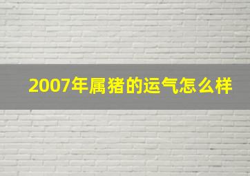 2007年属猪的运气怎么样