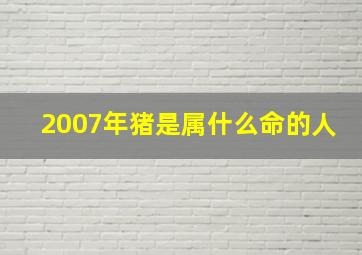 2007年猪是属什么命的人