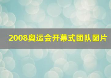 2008奥运会开幕式团队图片