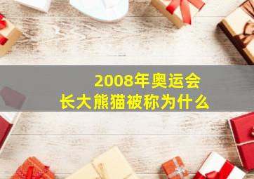 2008年奥运会长大熊猫被称为什么