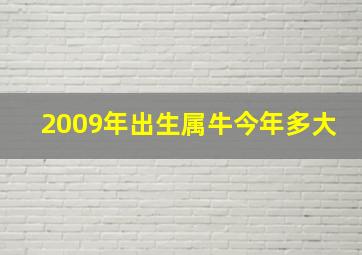 2009年出生属牛今年多大