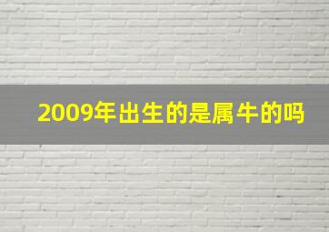 2009年出生的是属牛的吗