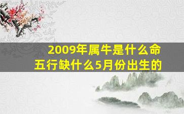 2009年属牛是什么命五行缺什么5月份出生的