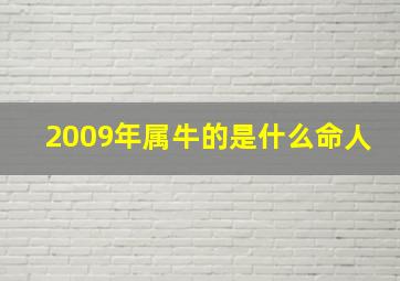 2009年属牛的是什么命人