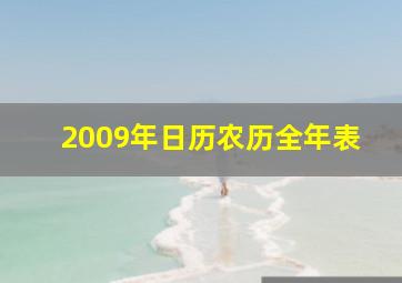 2009年日历农历全年表