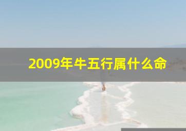 2009年牛五行属什么命