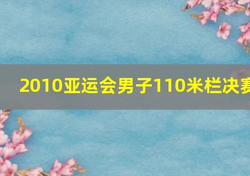 2010亚运会男子110米栏决赛