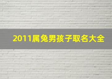 2011属兔男孩子取名大全