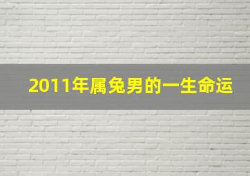 2011年属兔男的一生命运