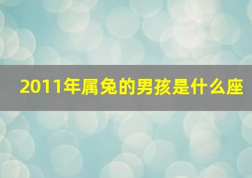 2011年属兔的男孩是什么座