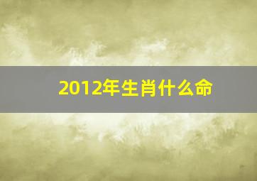 2012年生肖什么命