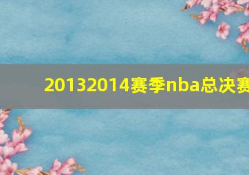 20132014赛季nba总决赛