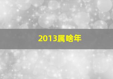 2013属啥年