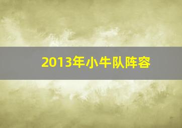 2013年小牛队阵容