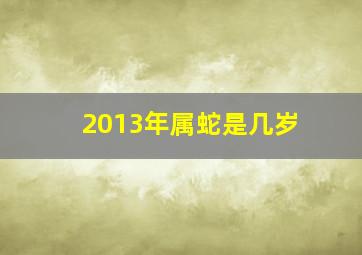 2013年属蛇是几岁