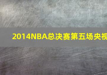 2014NBA总决赛第五场央视