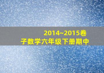 2014~2015卷子数学六年级下册期中